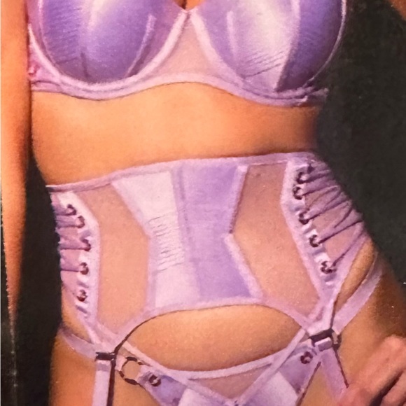 Honey Bridgette “ Jerry” 4 piece lingerie set. NWT 34DDD.M garter, M thong. - Picture 2 of 8